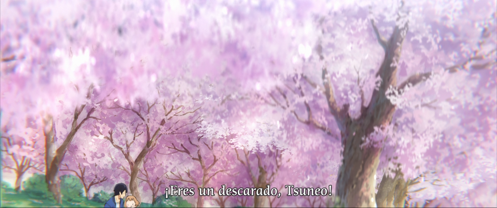 Josee to Tora to Sakanatachi (Sunshine Fansub)